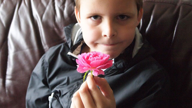 Photo of a boy with a flower representing finding a great therapist for our child.